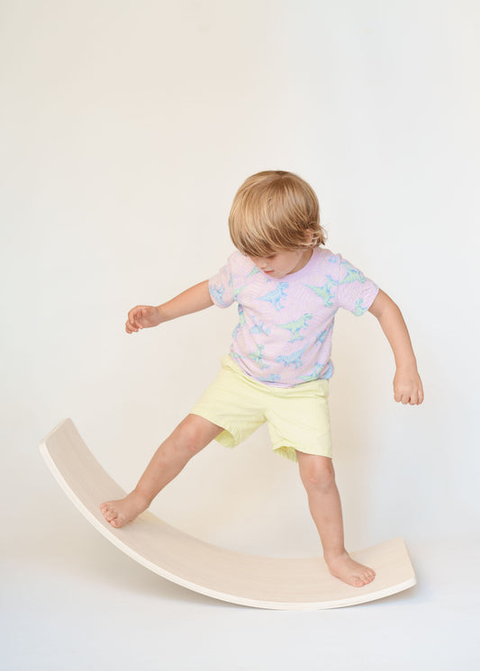 Natural Wooden Balance Board